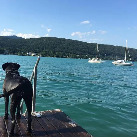 Ferienbungalow Weber *