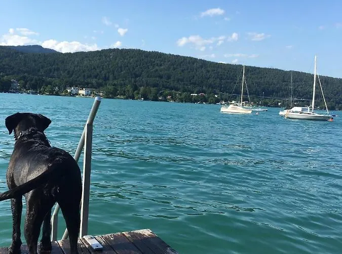 Ferienbungalow Weber *